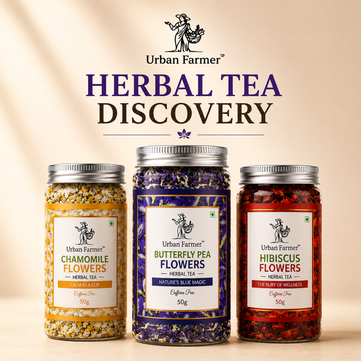 Herbal Tea Discovery Box | Butterfly Pea, Chamomile & Hibiscus Flowers