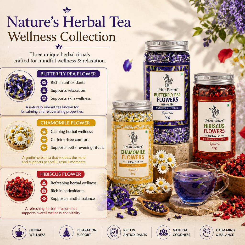 Herbal Tea Discovery Box | Butterfly Pea, Chamomile & Hibiscus Flowers