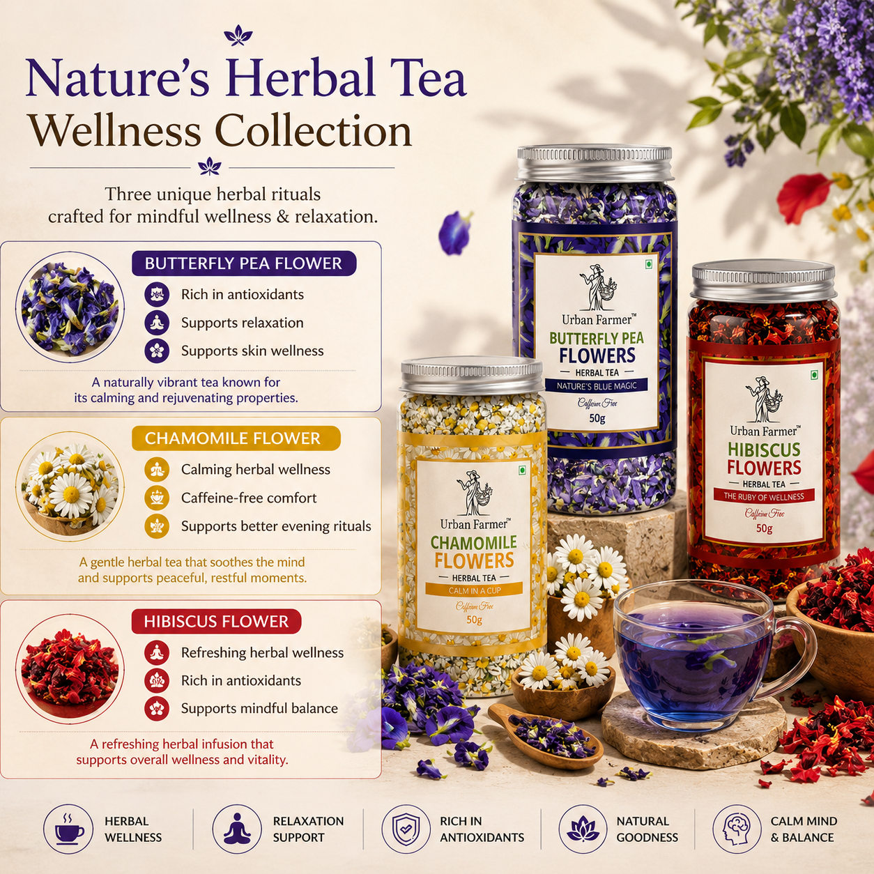 Herbal Tea Discovery Box | Butterfly Pea, Chamomile & Hibiscus Flowers