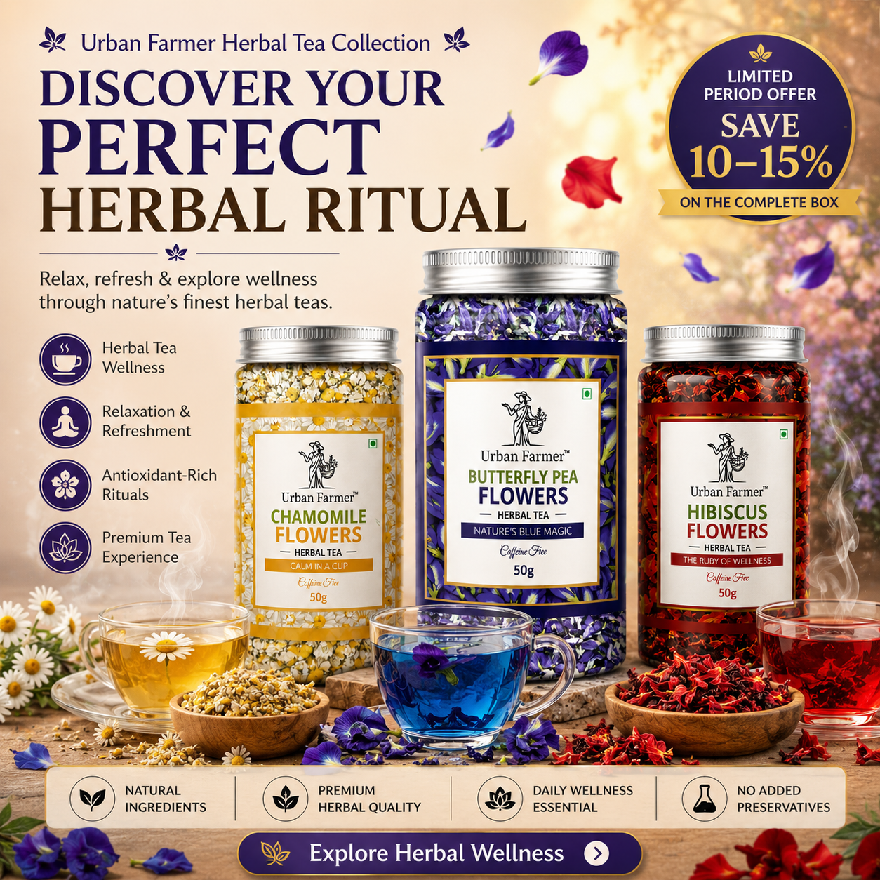 Herbal Tea Discovery Box | Butterfly Pea, Chamomile & Hibiscus Flowers