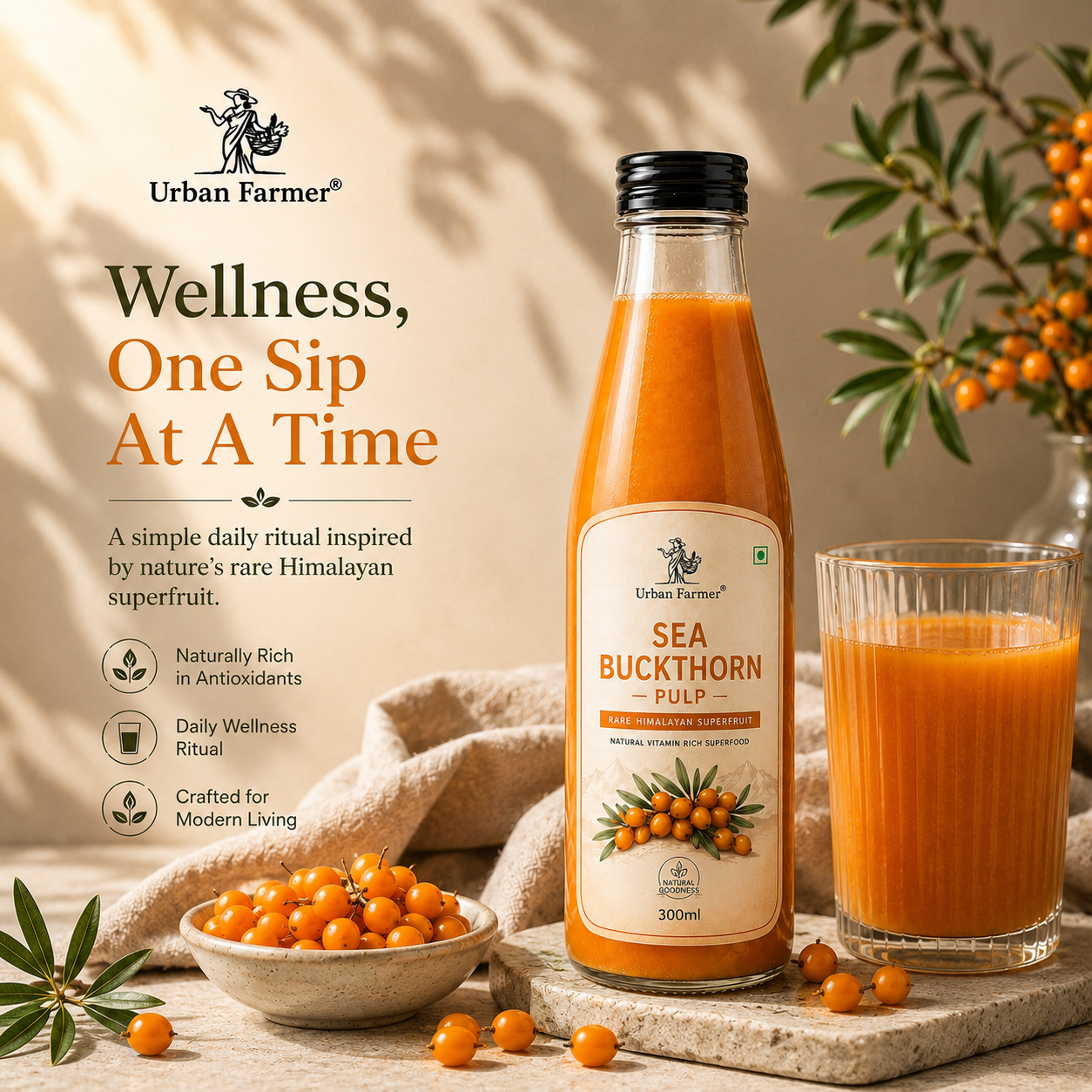 Premium Sea Buckthorn Fruit Pulp | Himalayan Superfruit Puree for Daily Wellness