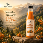 Premium Sea Buckthorn Fruit Pulp | Himalayan Superfruit Puree for Daily Wellness