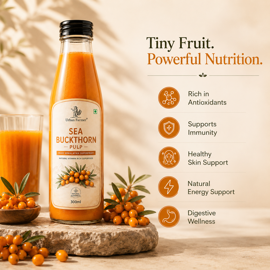 Premium Sea Buckthorn Fruit Pulp | Himalayan Superfruit Puree for Daily Wellness
