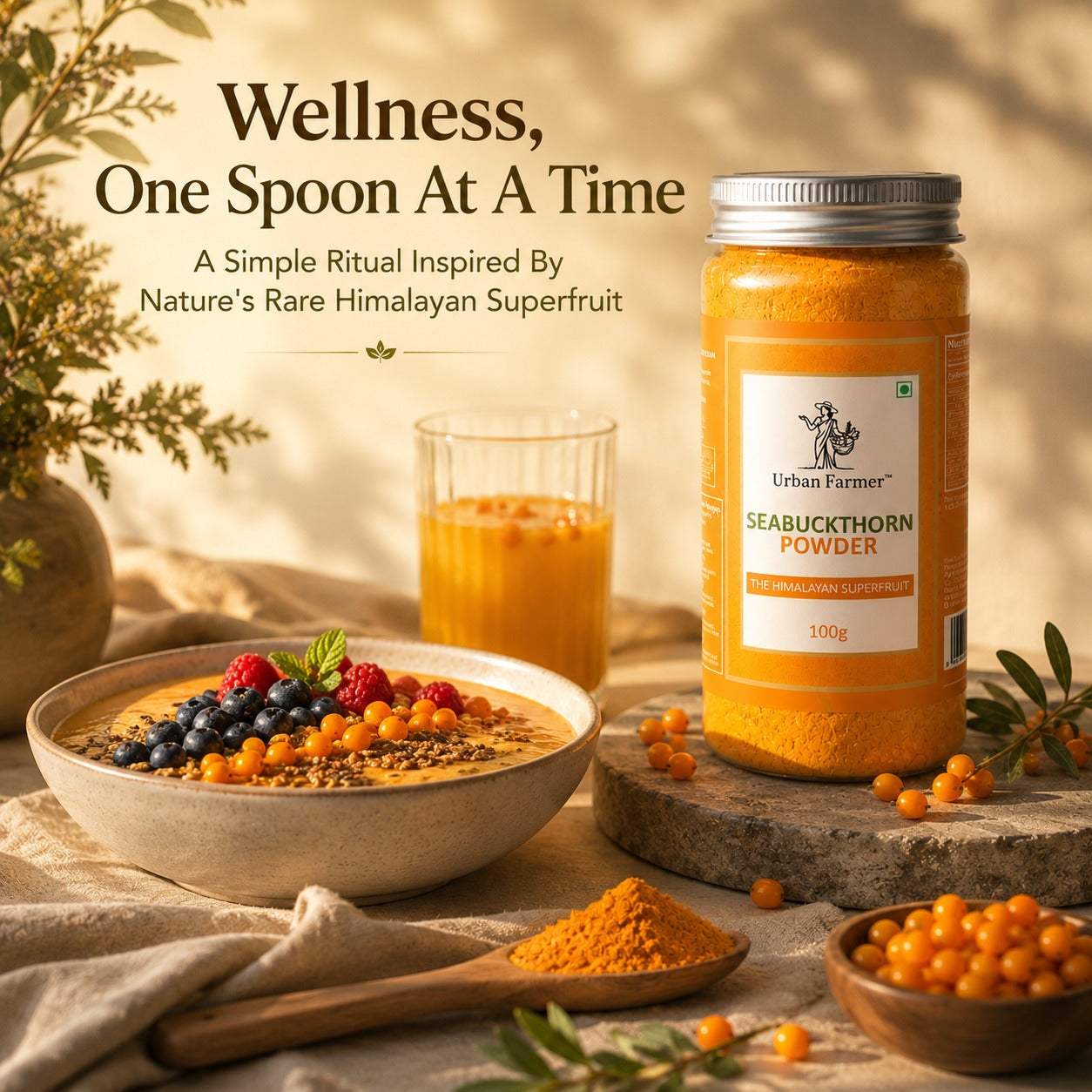 Premium Sea Buckthorn Powder | Himalayan Superfruit Rich in Natural Nutrients