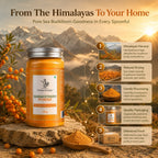 Premium Sea Buckthorn Powder | Himalayan Superfruit Rich in Natural Nutrients