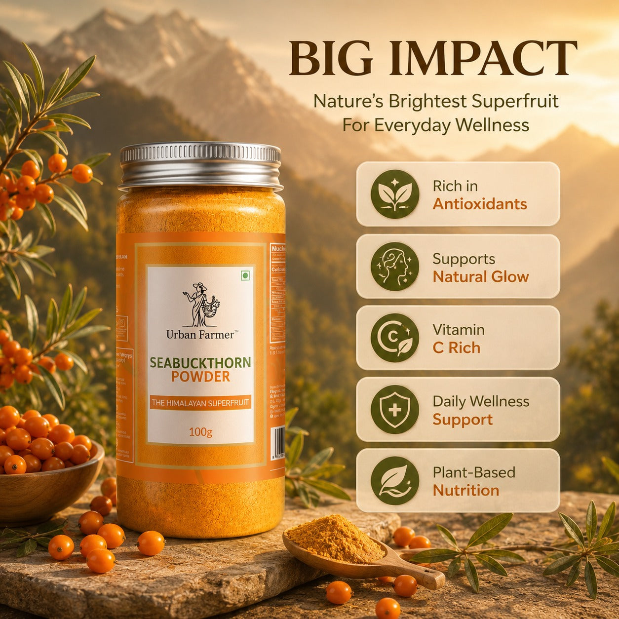 Premium Sea Buckthorn Powder | Himalayan Superfruit Rich in Natural Nutrients